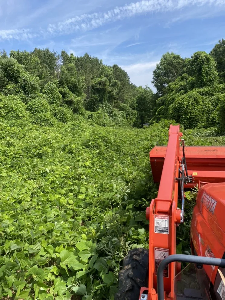 Local lawn mowing service for residential properties in Ashland, AL by Pokey Gilbert’s Lawn Care