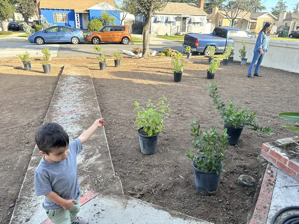 Reliable residential landscaping in La Habra, CA by Polanco Brothers