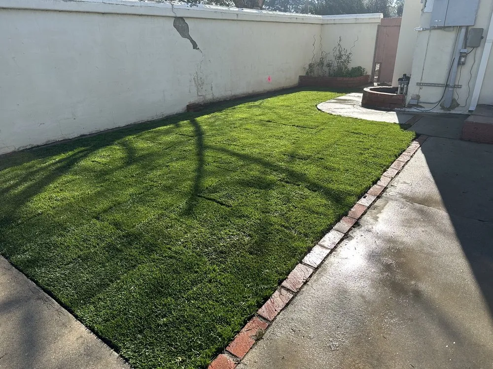Professional landscape installation in La Habra, CA by Polanco Brothers