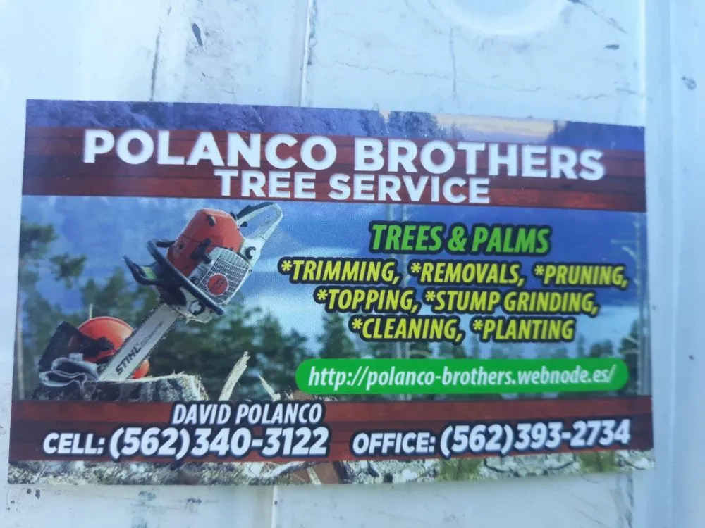Trusted garden landscaping for year-round maintenance across La Habra, CA - Polanco Brothers