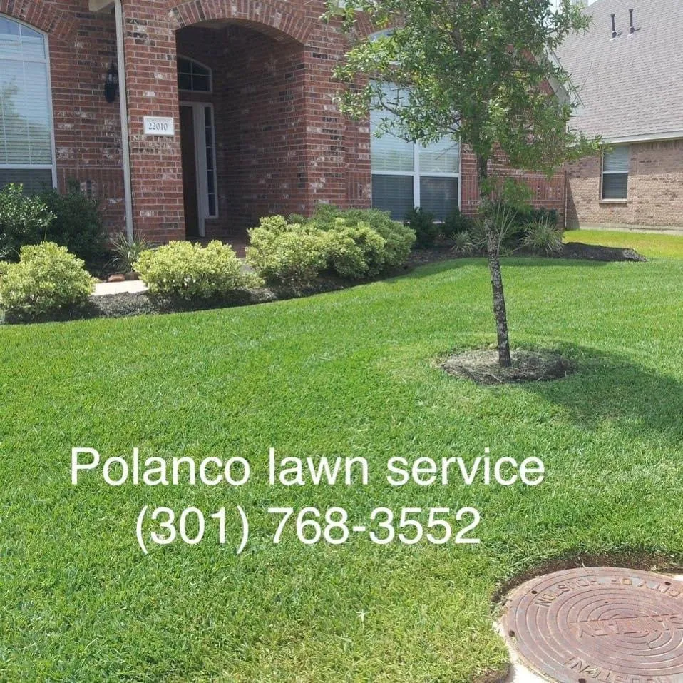 Professional lawn care service in Chillum, MD by Polanco’s Lawn Services