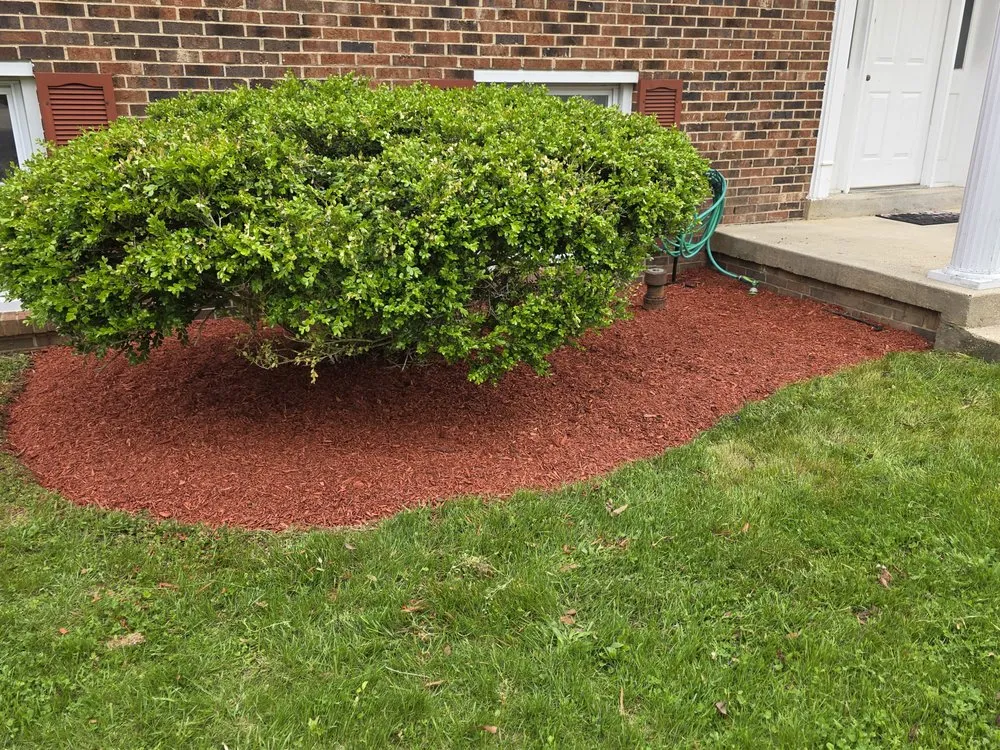 Affordable lawn care service for beautiful yards across Stephens City, VA - Polanco's Lawn services