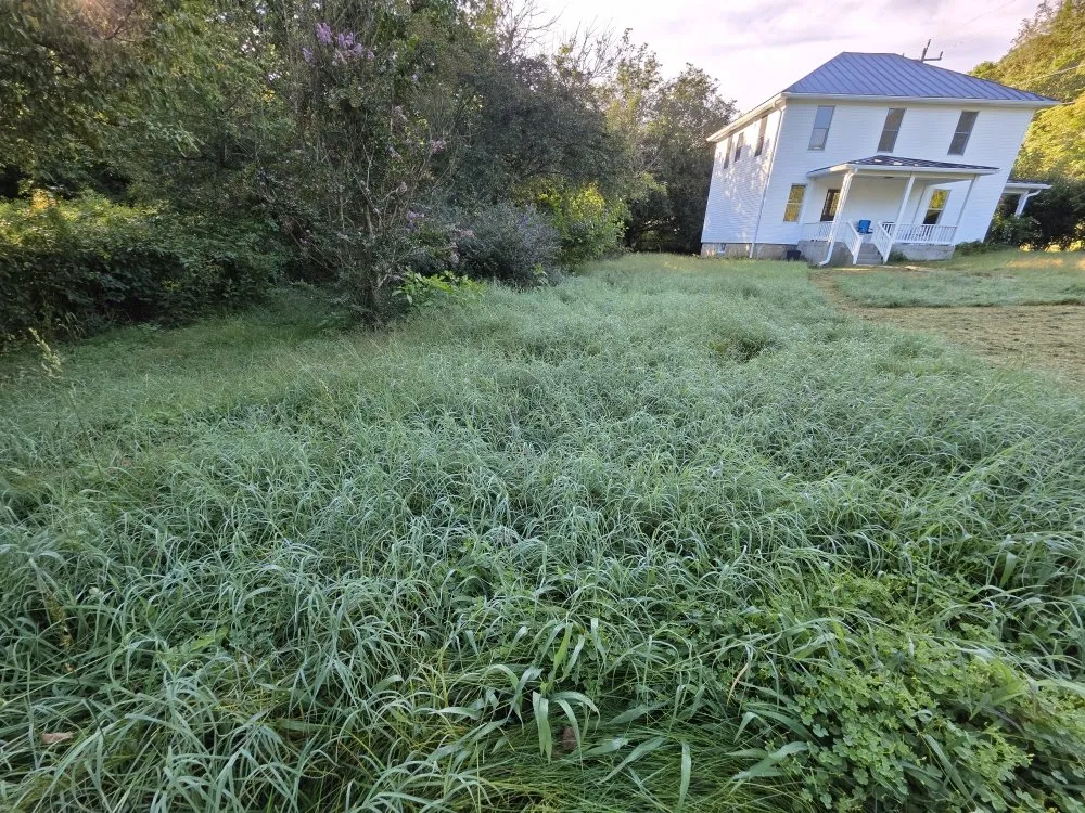 Custom yard maintenance for beautiful yards in Stephens City, VA by Polanco's Lawn services