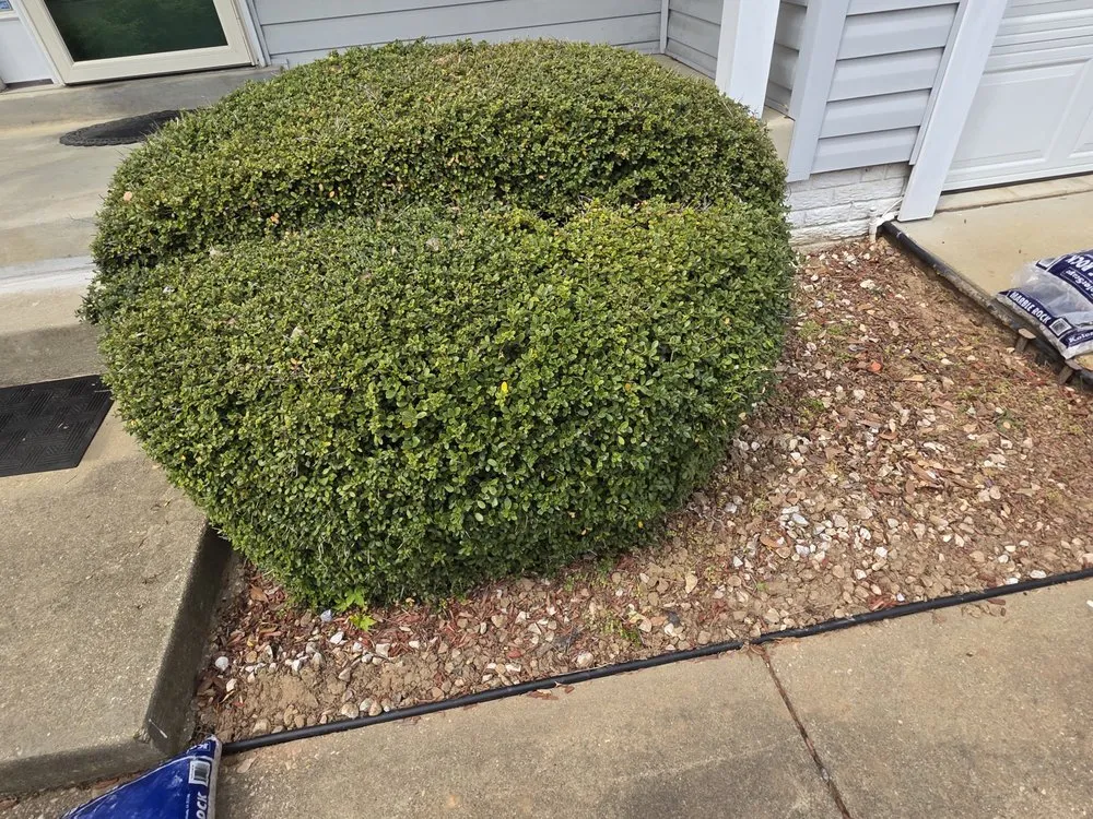 Reliable landscaping services in Stephens City, VA - Polanco's Lawn services