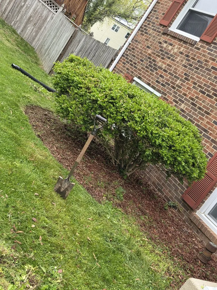 Top-rated yard cleanup service for outdoor upgrades in Stephens City, VA by Polanco's Lawn services