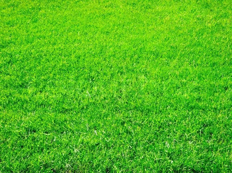 Reliable landscape installation for homes across White Settlement, TX - Polaris Lawn Service