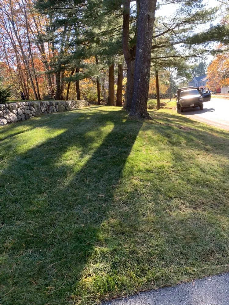 Expert lawn care service experts serving Lowell, MA - Poleto Services Corp