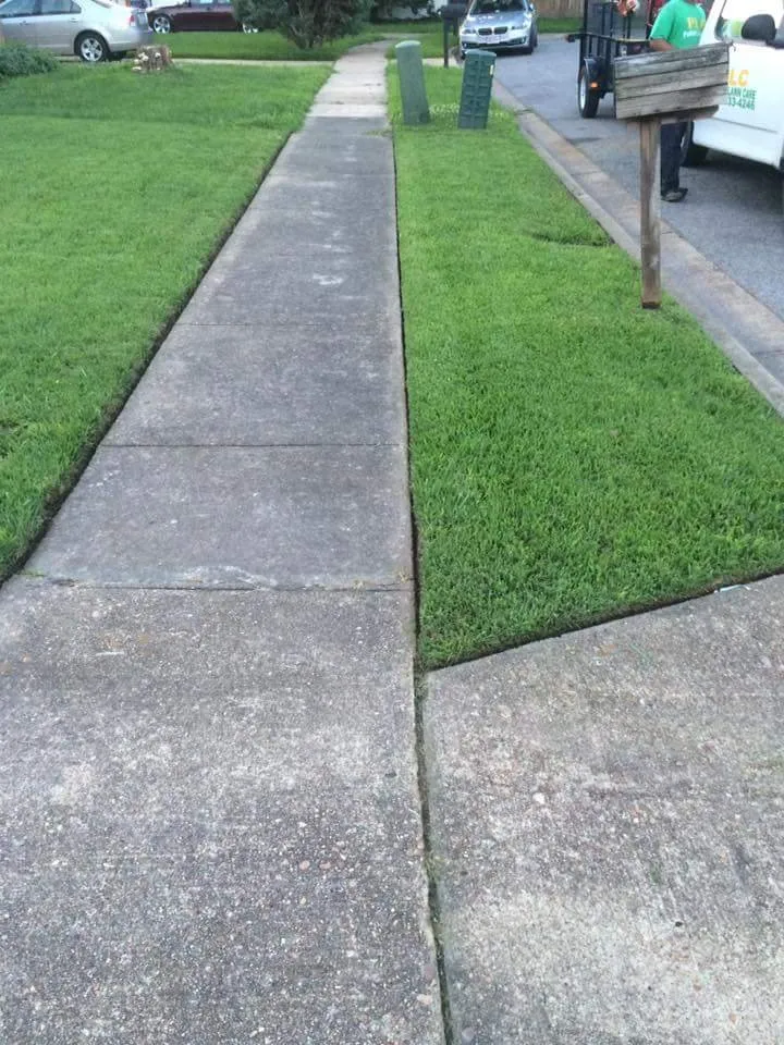 Professional landscape installation for year-round maintenance across Norfolk, VA - Polish Lawn Care