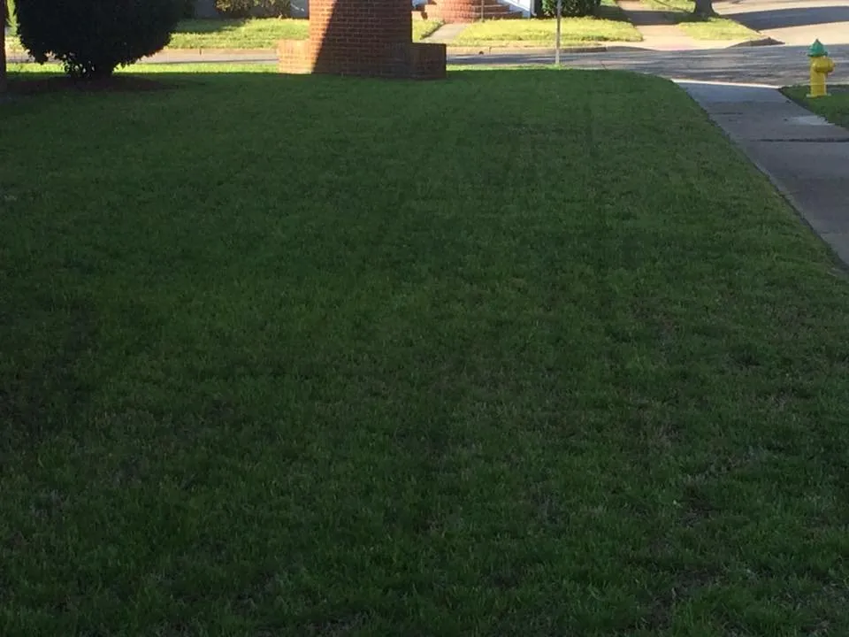 Local lawn mowing service for residential properties in Norfolk, VA by Polish Lawn Care