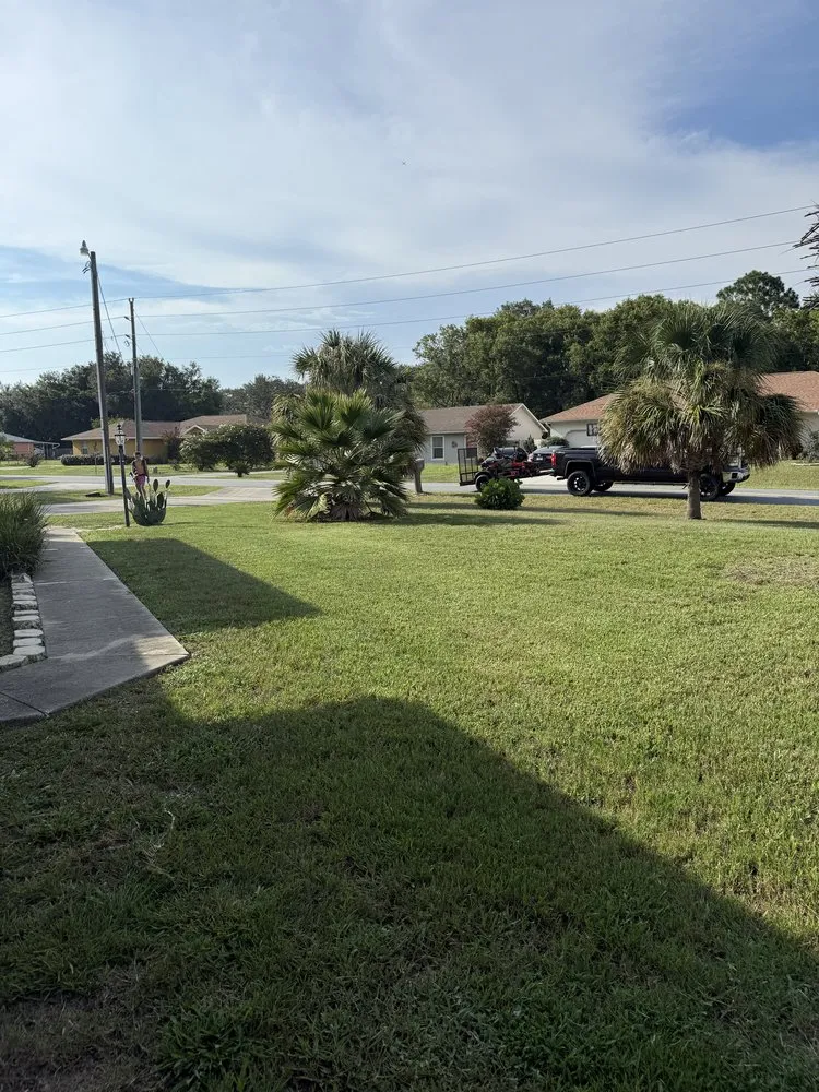 Local residential landscaping experts serving Belleview, FL - Politte's Clean Cuts