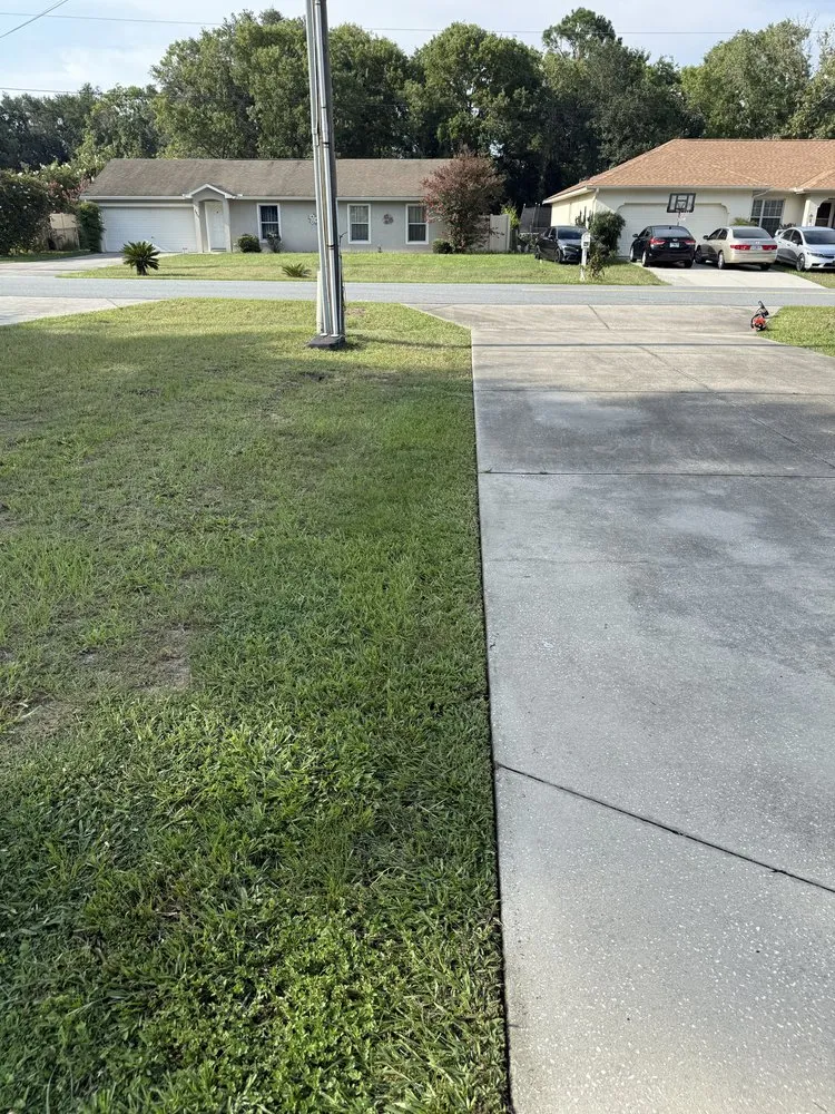Expert landscape installation in Belleview, FL - Politte's Clean Cuts