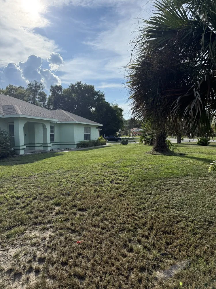 Reliable landscape design in Belleview, FL - Politte's Clean Cuts