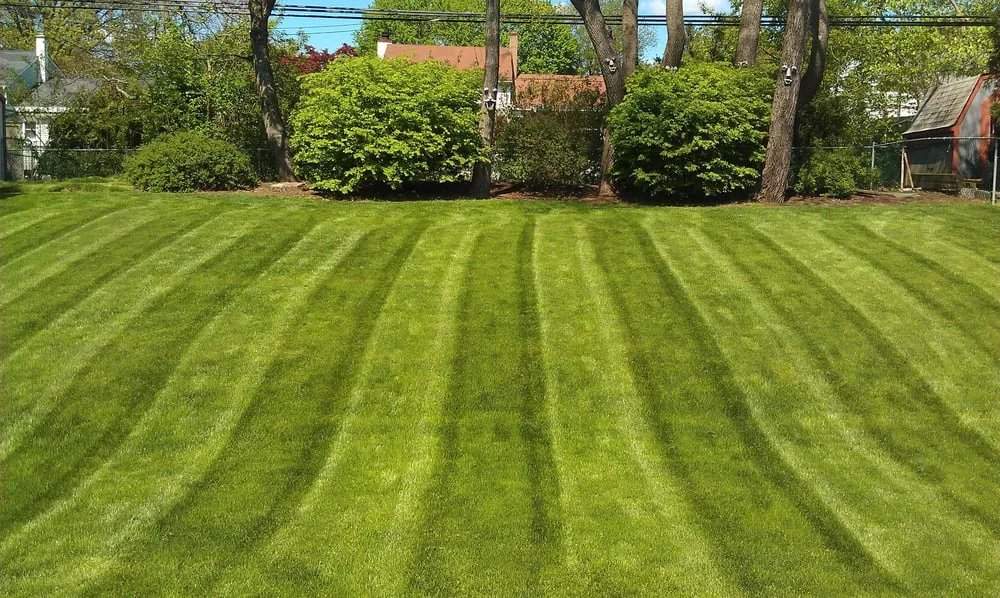 Affordable lawn mowing service in Willow Grove, PA by Polizzi Landscaping