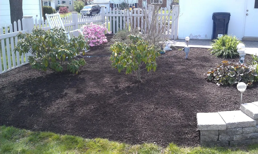 Affordable yard maintenance in Willow Grove, PA by Polizzi Landscaping