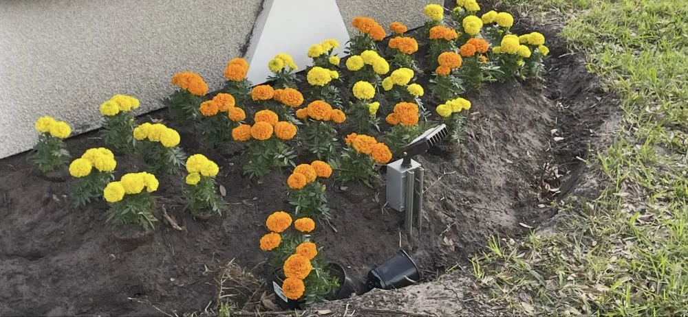 Professional residential landscaping near you across Orlando, FL - Polk City Sod