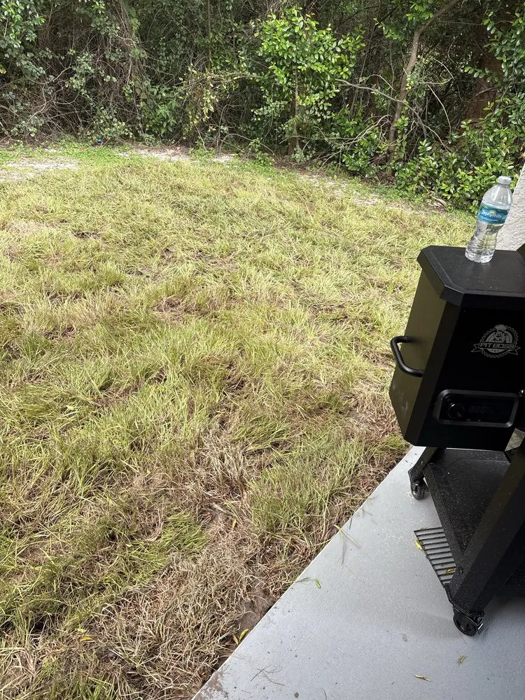 Local landscape design experts serving Orlando, FL - Polk City Sod