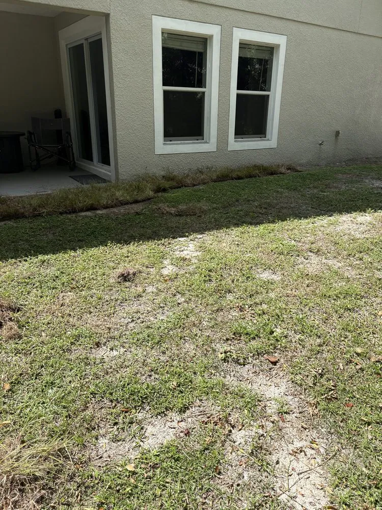 Affordable residential landscaping in Orlando, FL - Polk City Sod