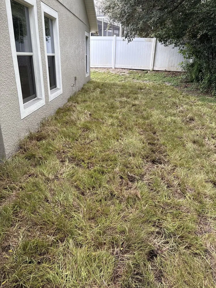 Affordable yard cleanup service near you in Orlando, FL by Polk City Sod