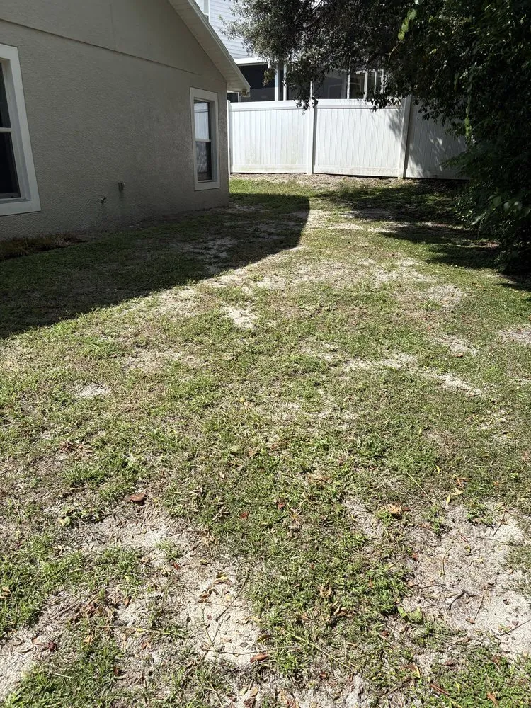 Custom yard maintenance with custom design in Orlando, FL by Polk City Sod
