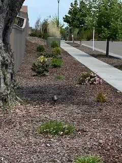 Trusted lawn mowing service experts serving Orlando, FL - Polk City Sod