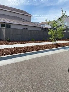 Expert landscape design for residential properties in Orlando, FL by Polk City Sod