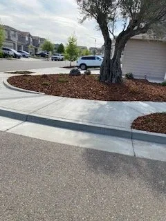 Affordable garden landscaping experts serving Orlando, FL - Polk City Sod