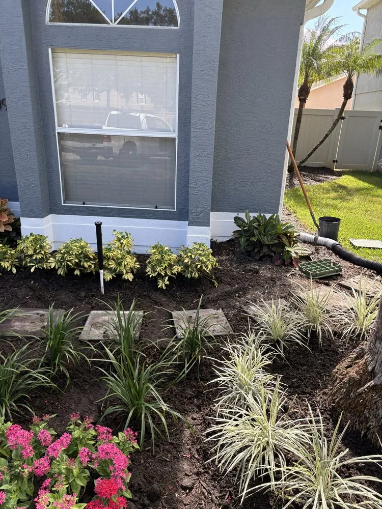 Reliable landscape installation in Orlando, FL by Polk City Sod