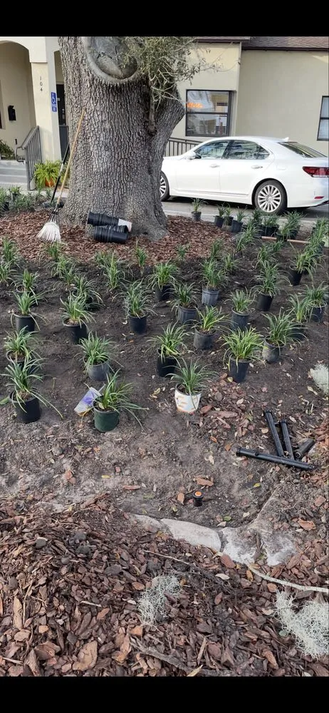 Top-rated residential landscaping experts serving Orlando, FL - Polk City Sod