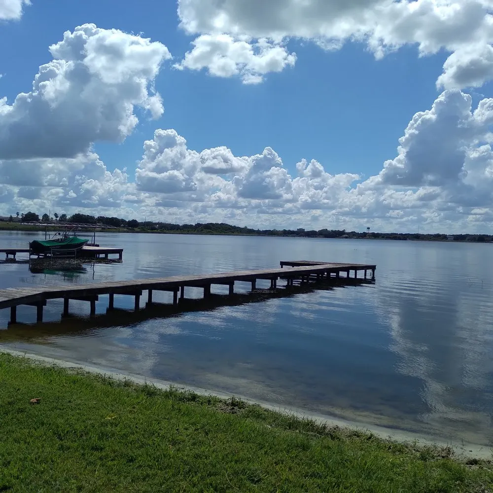 Professional landscape design for homes across Winter Haven, FL - Polk County Lakefront Clearing