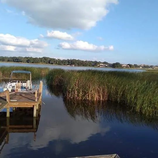 Trusted yard cleanup service in Winter Haven, FL - Polk County Lakefront Clearing