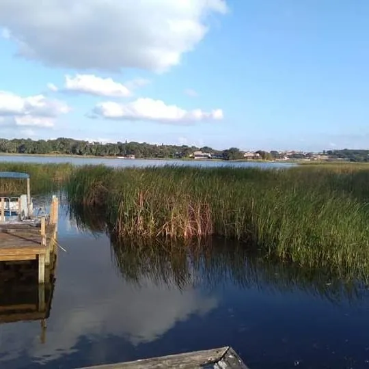 Professional landscape installation in Winter Haven, FL - Polk County Lakefront Clearing