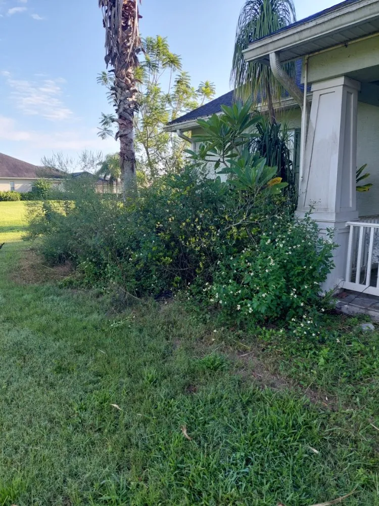 Expert landscape design for homes across Bartow, FL - Polk County Lawn Enforcement