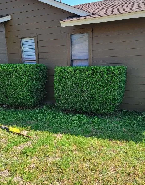 Reliable lawn mowing service in Killeen, TX by Polk Lawn Care Services