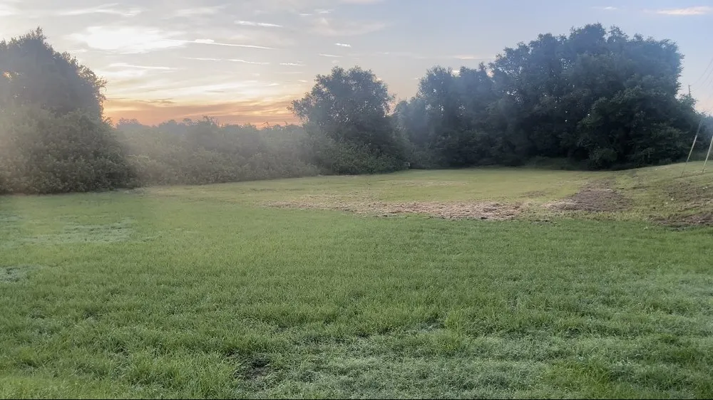 Reliable lawn mowing service for residential properties across Haines City, FL - Polk Services