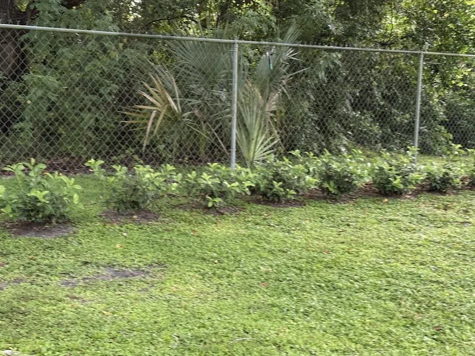 Reliable landscaping services experts serving Lakeland, FL - Polk Services