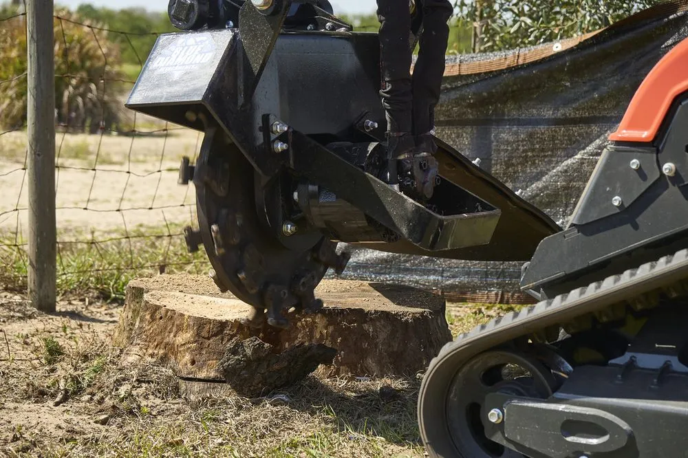 Top-rated yard cleanup service experts serving Lakeland, FL - Polk Services