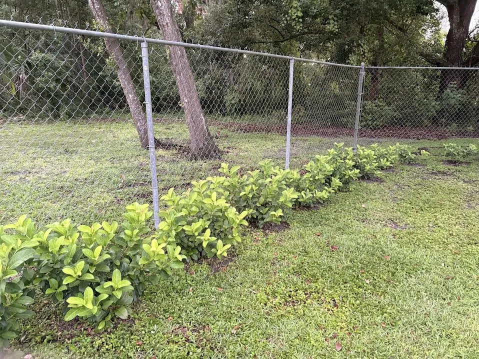 Expert landscape design in Lakeland, FL by Polk Services