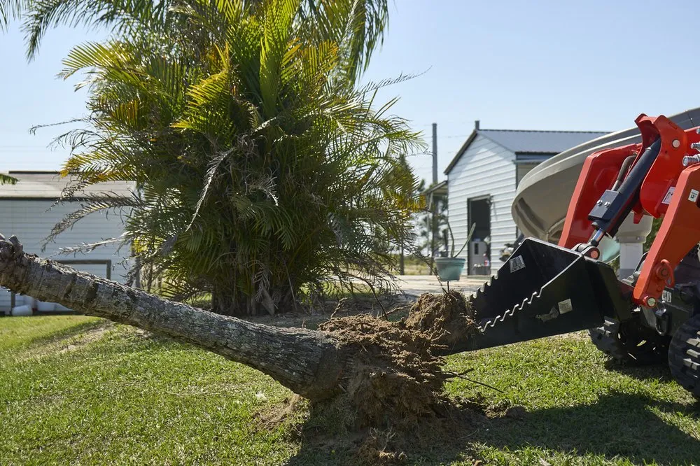 Reliable landscape design in Lakeland, FL - Polk Services