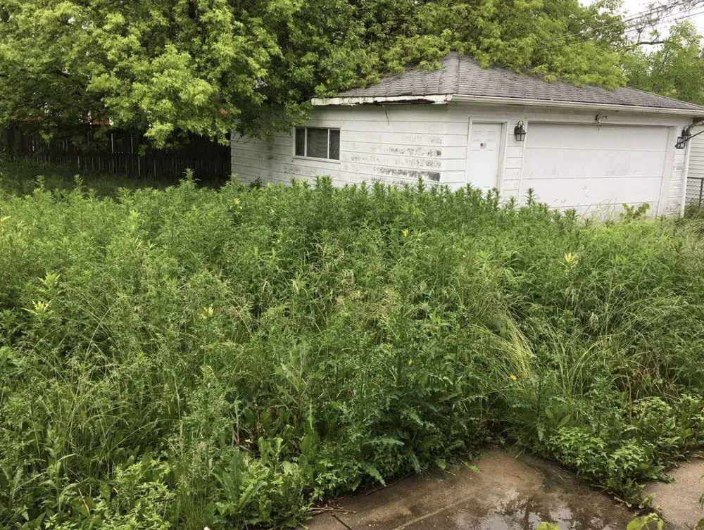 Affordable lawn mowing service near you in Kenosha, WI by Pollard Tree Industries