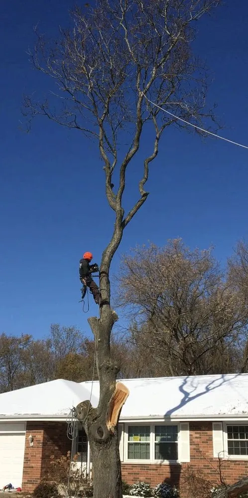 Trusted landscaping services near you in Kenosha, WI by Pollard Tree Industries