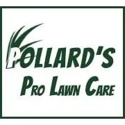 Reliable yard cleanup service experts serving Beaumont, TX - Pollard's Pro Lawncare
