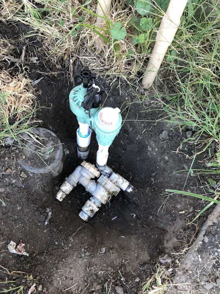 Expert lawn care service experts serving Stockton, CA - Pollard's Yard & Garden Services