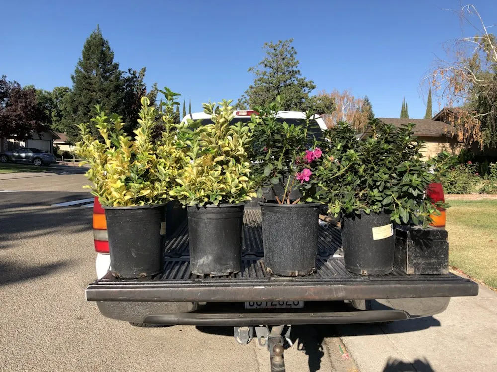 Custom garden landscaping for residential properties in Stockton, CA by Pollard's Yard & Garden Services