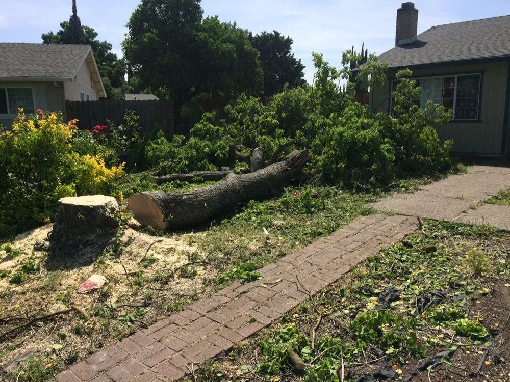 Affordable residential landscaping for outdoor upgrades across Stockton, CA - Pollard's Yard & Garden Services