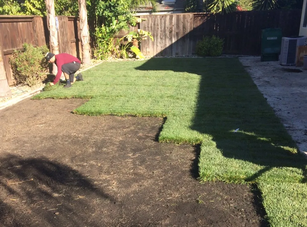 Trusted yard cleanup service experts serving Stockton, CA - Pollard's Yard & Garden Services