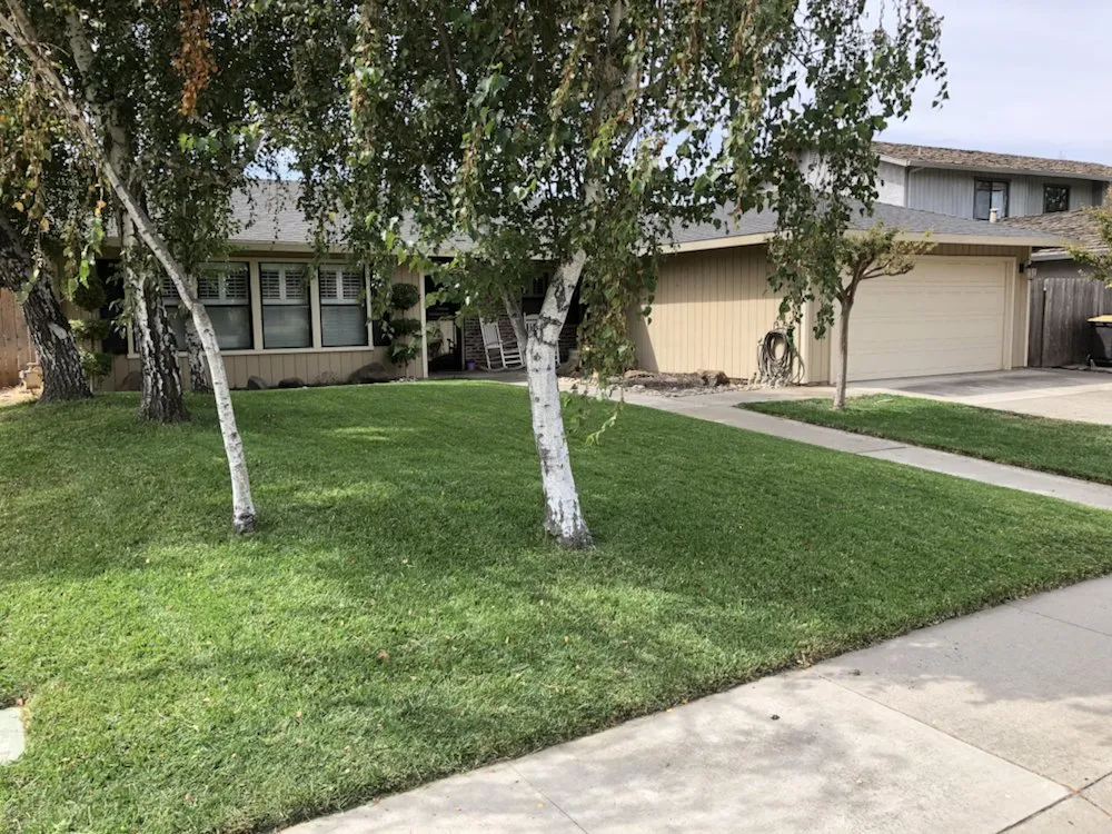 Top-rated yard maintenance in Stockton, CA by Pollard's Yard & Garden Services