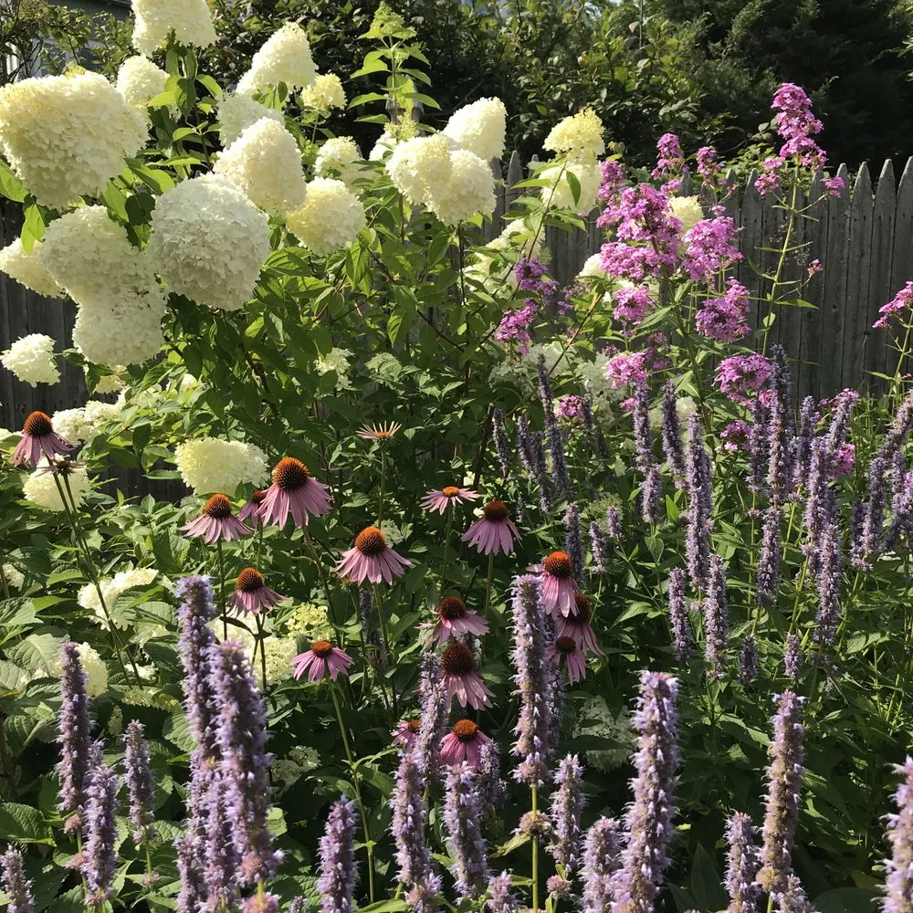 Expert yard cleanup service in Portland, ME by Pollen