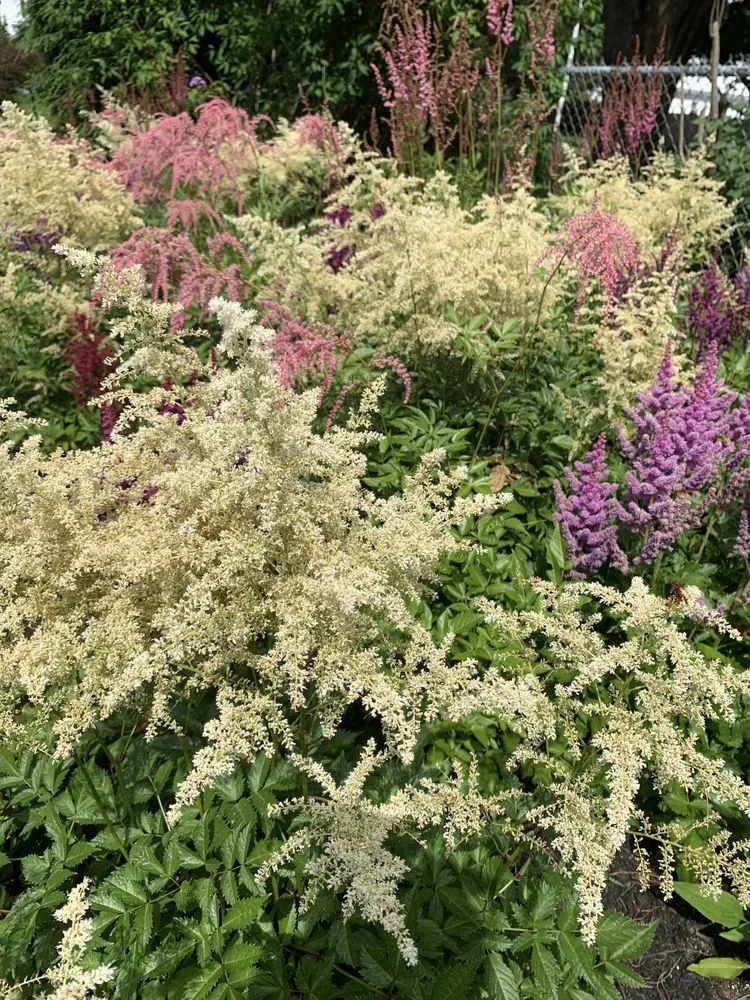 Top-rated lawn mowing service for outdoor upgrades in Portland, ME by Pollen