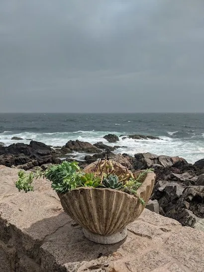 Top-rated outdoor landscaping with custom design in Portland, ME by Pollen