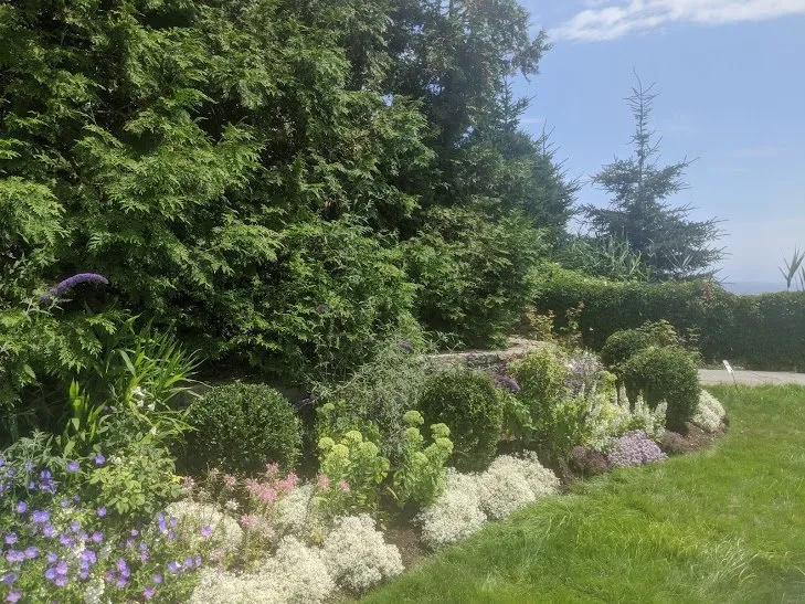 Affordable landscape installation in Portland, ME - Pollen